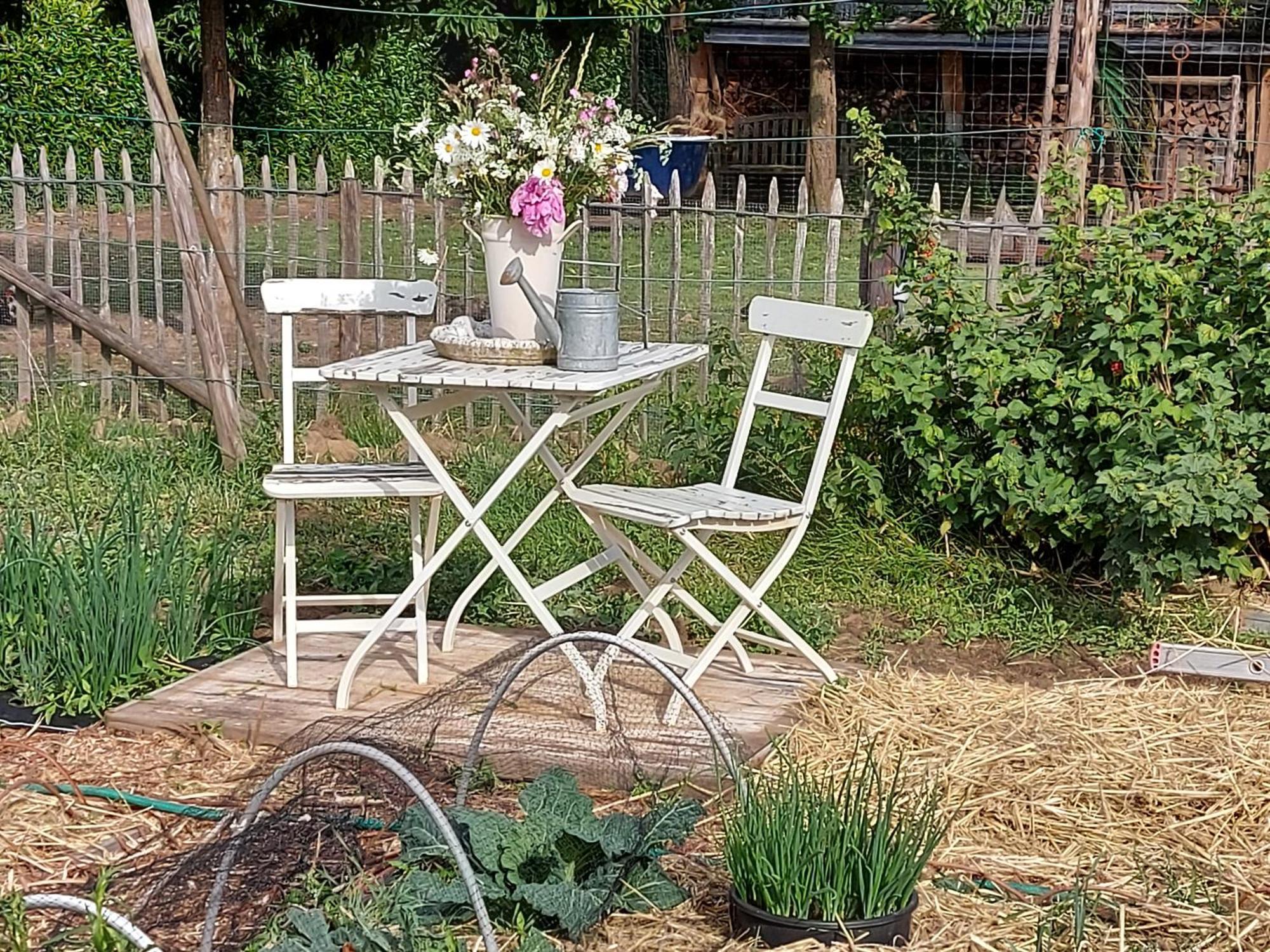 Widdingenhof Bed & Breakfast Wellen Dış mekan fotoğraf