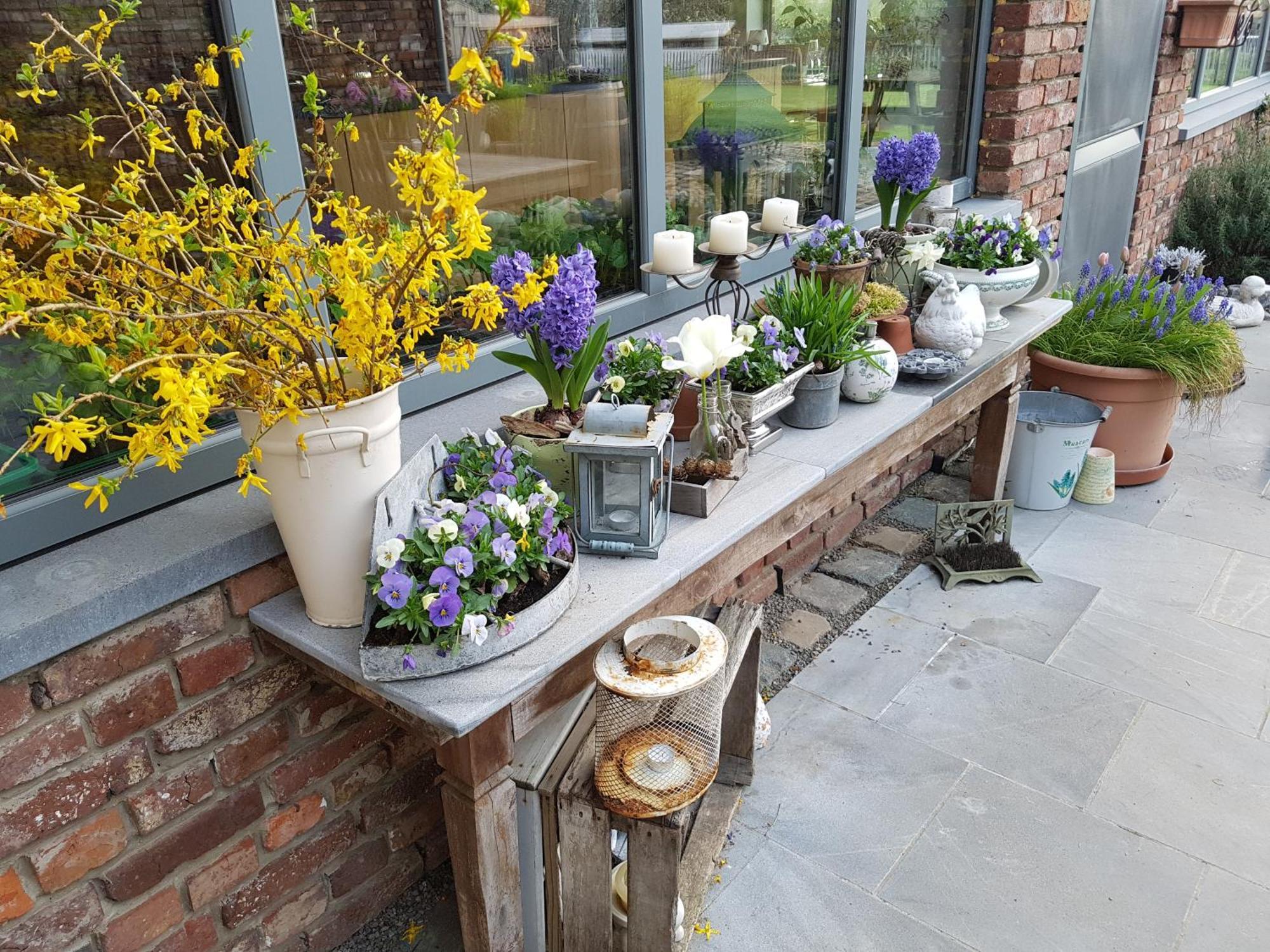 Widdingenhof Bed & Breakfast Wellen Dış mekan fotoğraf